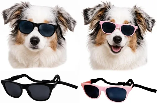 Vista 24 de G006 - Lentes de sol para disfraz de perro mascota de los años 80, para sesión de fotos, razas medianas de 20 a 40 libras