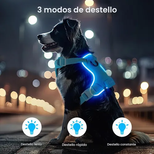 Vista 2 de Arnés para perro con luz LED recargable - Chaleco reflectante para mascotas para caminar por la noche - Arnés de seguridad ajustable sin tirones