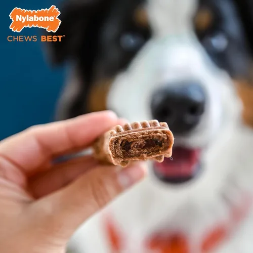 Vista 3 de Nylabone Healthy Edibles - Masticables naturales para perros, centro