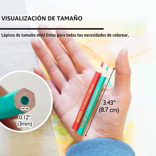 Vista 2 de BAZIC - Juego de 24 lápices de colores surtidos, núcleo suave y suave, ideal para pintar, colorear, bocetos, garabatos, para artistas, escuela