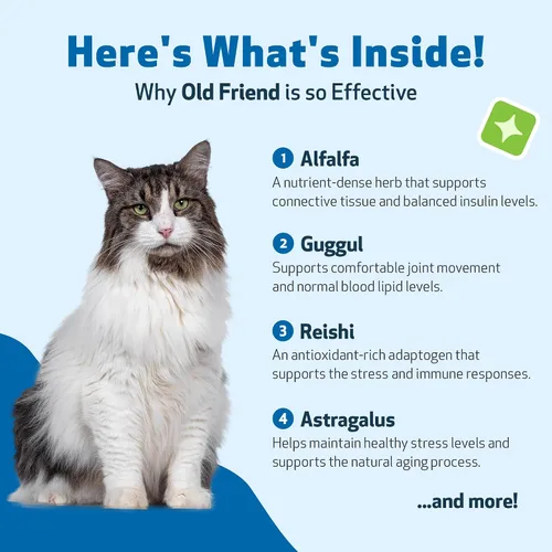 Vista 4 de Pet Wellbeing Old Friend for Senior Cats – Apoya la salud del sistema inmunológico, la movilidad de las articulaciones, los niveles de energía