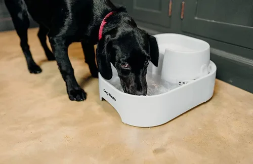 Vista 9 de Dog Mate Fuente de agua grande de varios niveles para mascotas (385) - Estación de agua para perros y gatos, diseñada para una fácil hidratación