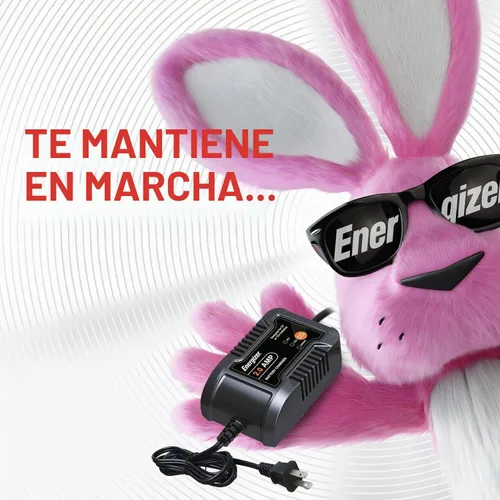 Vista 5 de Energizer - Cargador y mantenedor de batería de 2 amperios, cargador de batería inteligente de 9 pasos para coche, pantalla LCD, detección