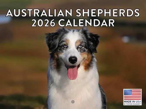Vista 168 de Calendario mensual de pared Airedale Terrier Dog 2027 rojo (Airedale Terrier)