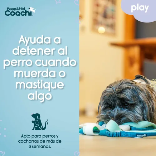 Vista 5 de Juguete para perros Coachi PUPPY & MINI TUGGI SPIDER Verde