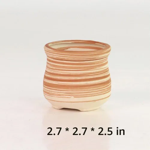 Vista 5 de Conjunto de macetas de 3 pulgadas de cerámica de madera suculenta SUN-E 6In /maceta para cactus