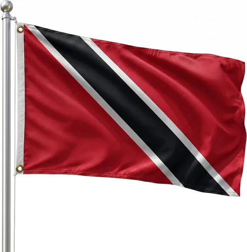 Vista 142 de DMSE - Bandera nacional beninesa beninesa de la República de África Occidental, 2 x 3 pies, 100 % poliéster, 100 % poliéster, resistente a los rayos