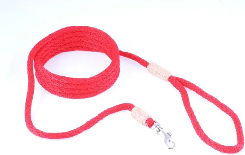 Vista 131 de Alvalley Correa para perros estilo broche – Correa de nailon estilo broche para perros – Fácil de manejar – Perfecto para perros pequeños, medianos
