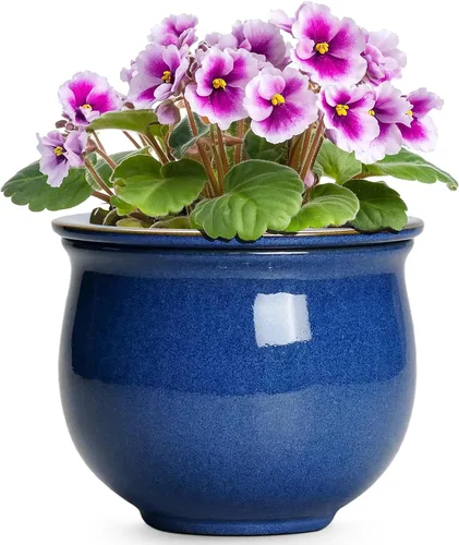 Vista 16 de Macetas de riego automático de 6 pulgadas para plantas de interior, macetas de cerámica violeta africana con maceta interior absorbente, maceta