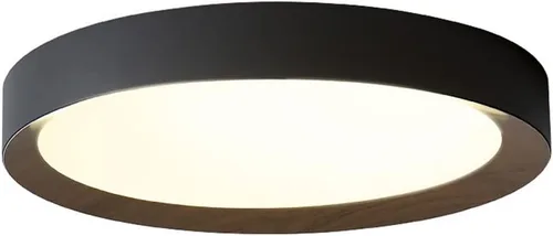 Vista 10 de Lámpara de techo LED de atenuación continua con control remoto regulable lámpara de techo LED creativa simple luz plana moderna accesorio de montaje