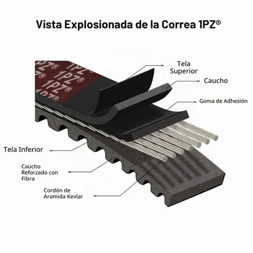 Vista 2 de 1PZ DB1-P30 Serie 30 Go Kart Correa de transmisión para reemplazar Manco 5959 / Comet 203589 (paquete de 3)