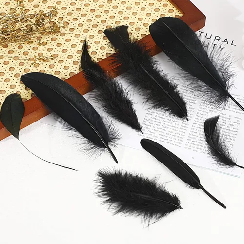 Vista 7 de MARFOREVER 320 plumas negras de Halloween a granel 8 estilos de plumas Negro