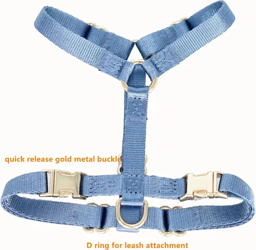Vista 2 de Arnés de nailon para perro sin tirones con hebillas de metal doradas, arnés para perro fácil de caminar y entrenar (azul aire, XS)