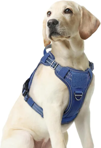 Vista 53 de rabbitgoo - Arnés para perros pequeño sin tirones, chaleco táctico de servicio con Molle y asa de control, arnés militar ajustable y reflectante