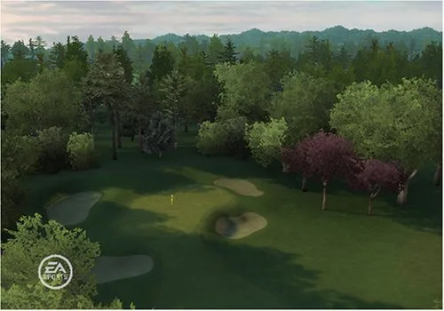 Vista 14 de Tiger Woods PGA Tour 09 All-Play - Nintendo Wii