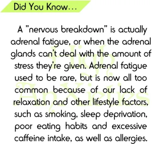 Vista 7 de Miracle Adrenal Essence Doctor's Choice - Suplemento adratogénico de hierbas y vitaminas