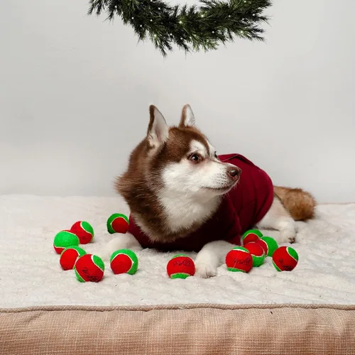 Vista 6 de Midlee Pelotas de tenis de Navidad para perros de 1.5 pulgadas, color rojo y verde, paquete de 12 Regalo de regalo con colores festivos chirriantes
