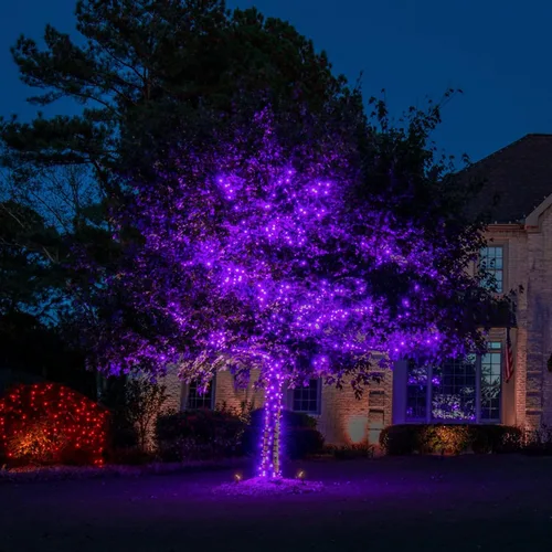 Vista 7 de Luces de Halloween púrpuras, 200 luces LED, 66 pies, enchufe con 8 modos, luces de Halloween impermeables para exteriores, decoración de Halloween