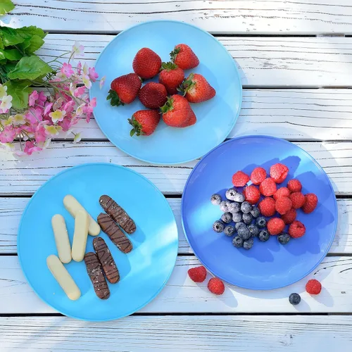 Vista 4 de Youngever Platos de plástico de 8 pulgadas, juego de 9 (color costero), platos pequeños, para ensalada y postre