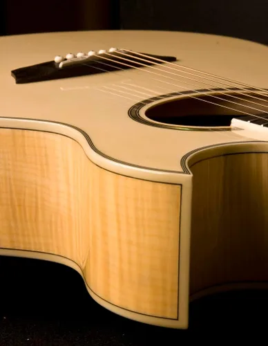 Vista 4 de Washburn Guitarra eléctrica acústica Festival EA20 (EA20-A)