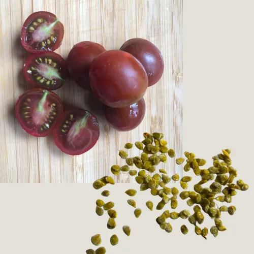 Vista 2 de Dot's Little Yellow Tomate Seeds (Solanum lycopersicum) 150 Semillas (0.02 oz)