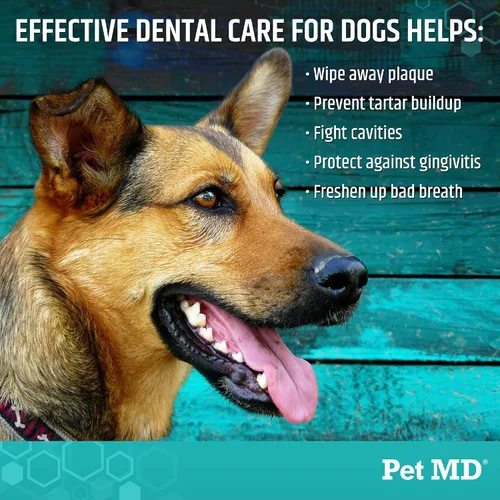 Vista 4 de Pet MD Toallitas dentales para mascotas para perros, sabor a manzana fresca