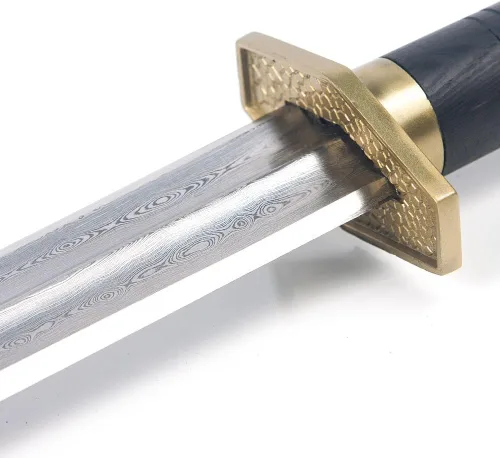 Vista 2 de Tiger Claw Espada Qing Tong