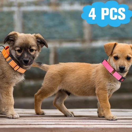 Vista 6 de 4 collares Martingale para perros, multicolor, gargantilla para perros pequeños, collar de cachorro para entrenamiento de cachorros