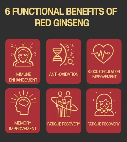 Vista 6 de SAMSIDAE Extracto de ginseng rojo coreano de oro 8.47 oz 6 años (13 mg/g), extracto de ginseng rojo 100% coreano - Aumenta la inmunidad y promueve