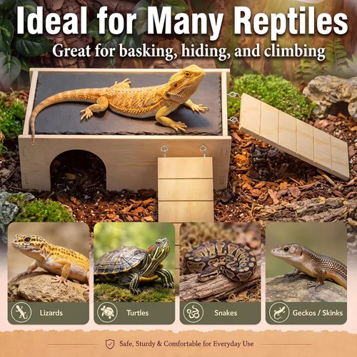 Vista 5 de 2 in 1 Bearded Dragon Basking Platform with Hide, Slate Tiles for Reptiles