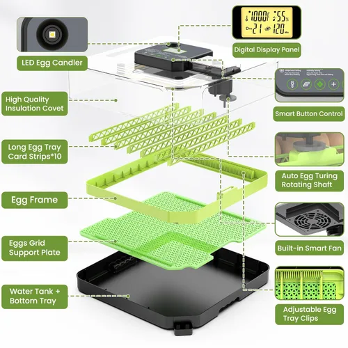 Vista 8 de Incubadora de 48 huevos para incubar huevos con giro automático de huevos, control de temperatura y humedad, incubadora de huevos con ventana