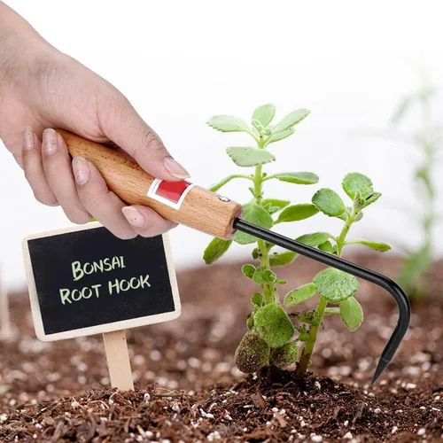 Vista 9 de Escardadora, herramienta de deshierbe de jardín de metal con mango de madera, mini extractor de malezas cultivador para excavar bordes plantación