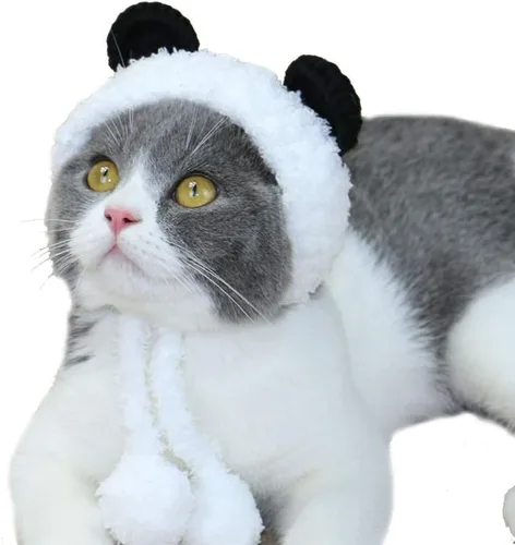 Vista 2 de POPETPOP Disfraz de oso panda para perro, calentador de cuello y diadema protector para gato y perro, talla S