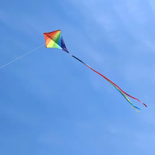 Vista 7 de Diamond Kites for Kids Adults Easy to Fly, Beginner Kite for Toddlers Ages 3-5, Kids Kite Pack for Boys and Girls,Beach Kites for Outdoor Activities