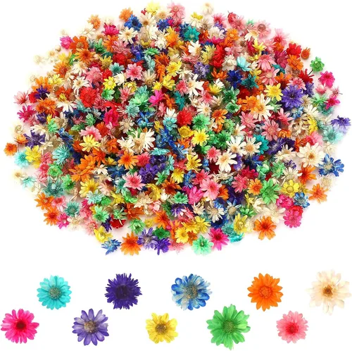 Vista 2 de MARFOREVER 420 piezas de flores secas pequeñas para manualidades, mini