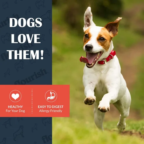 Vista 6 de Flourish Pets - Golosinas crudas liofilizadas para mascotas para perros (corazones de pollo, pequeño)