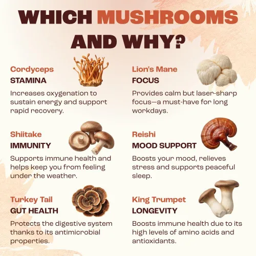 Vista 6 de RYZE SUPERFOODS - Café de tostado medio de hongos orgánico USDA con 6 hongos adaptogénicos, café instantáneo cultivado en Estados Unidos para una
