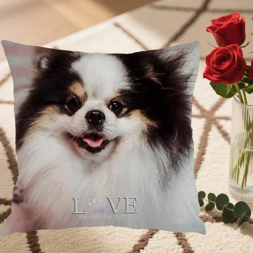 Vista 5 de One Photo Personalized Throw Pillow Case Where Your uploaded Image and Text Form a Unique Home décor Piece That Provides Warm Emotional Value and