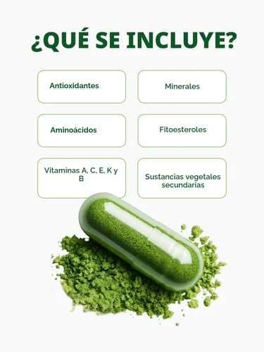 Vista 7 de PURA VIDA MORINGA Cápsulas de polvo de Moringa de origen único orgánico. Hoja pura de Moringa. Energía, metabolismo y apoyo inmunológico. 120
