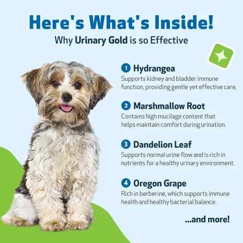 Vista 4 de Pet Wellbeing Oro urinario para perros – Formulado por veterinarios – Soporte para el tracto urinario con múltiples hierbas – Salud de la vejiga