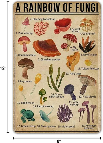 Vista 2 de SmartCows Letrero de metal con texto en inglés «A Rainbow of Fungi», diseño de hongos, hongos, conocimiento, decoración de pared para amantes