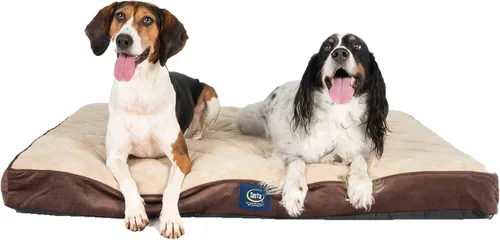Vista 2 de Serta Ortho - Almohada acolchada, marrón, grande