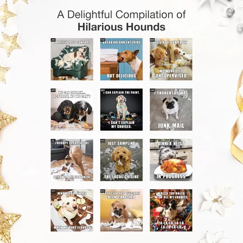 Vista 3 de RED EMBER Calendario de pared Doggy Disasters 2027 de 12 meses 01 - Perros traviesos