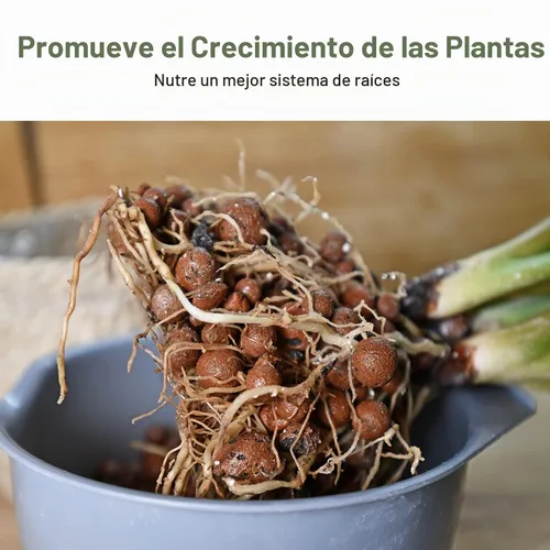Vista 6 de GASPRO 5lb de bolas de arcilla expandida orgánicas para plantas, 100% naturales, bolas Leca para el desarrollo de raíces en macetas, mezcla
