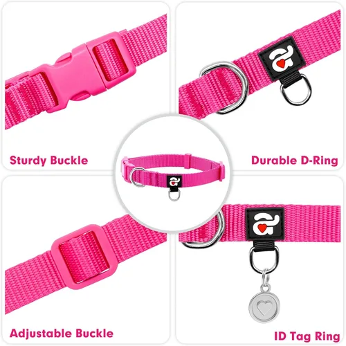 Vista 2 de azuza Juego de collar y correa de nailon para perro, resistente y duradero, estilo básico, correa y collar con anillo de identificación