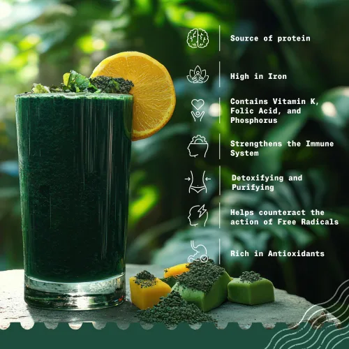 Vista 3 de NaturaleBio Polvo de espirulina orgánico 8 oz. Algas espirulina natural y cruda. Vegano y puro. Cultivado en la India en Tamil Nadu. Ideal