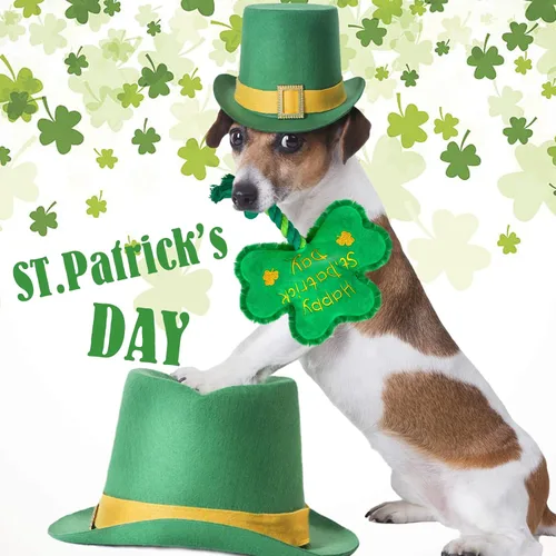 Vista 5 de Juguete para perros del día de San Patricio, juguetes chirriantes para perros con cuerda, juguetes de peluche de trébol de trébol, regalos del día