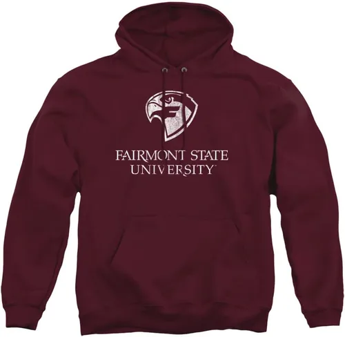 Vista 94 de Distressed College Primary Logo Adult Pullover Hoodie Collection 1 Universidad Estatal de Albany