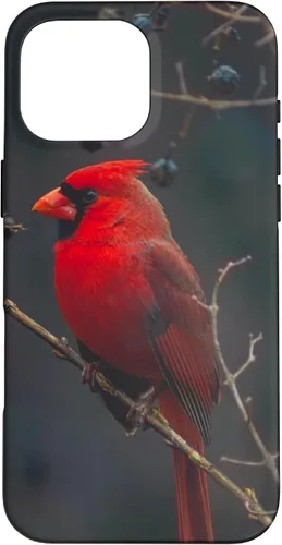 Vista 19 de Funda para iPhone 16 Cardinal Bird