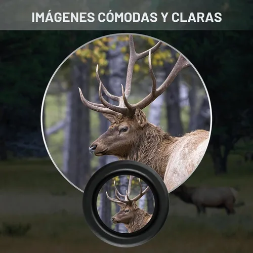 Vista 5 de Telescopio monocular de 10 x 25, tamaño compacto de bolsillo, impermeable, a prueba de niebla para observación de aves, senderismo, campamento